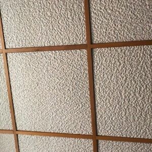 Meet your Posher, Aiden